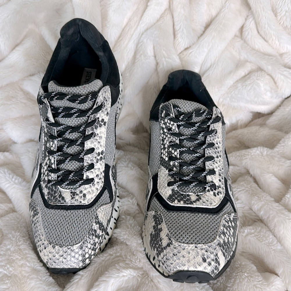 Steve Madden Women’s snakeskin sneaker